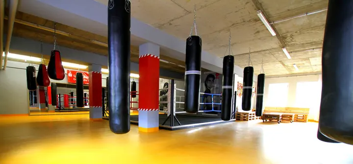 KSSV Zwickau — boxen-studio in Zwickau — 4