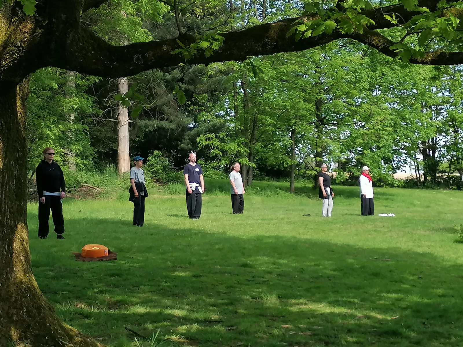 Tai Ji Schule Tesch — kampfsport-studio in Gelsenkirchen — 4