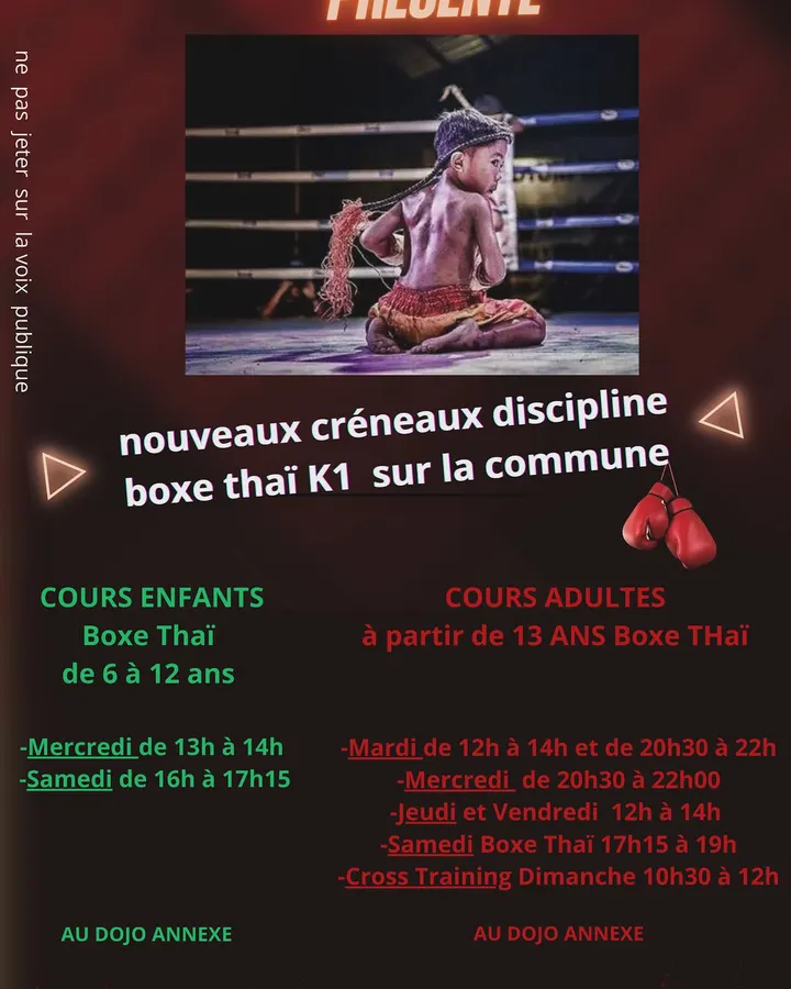 Boxing MMA connection — Boxe à Villeneuve-Tolosane