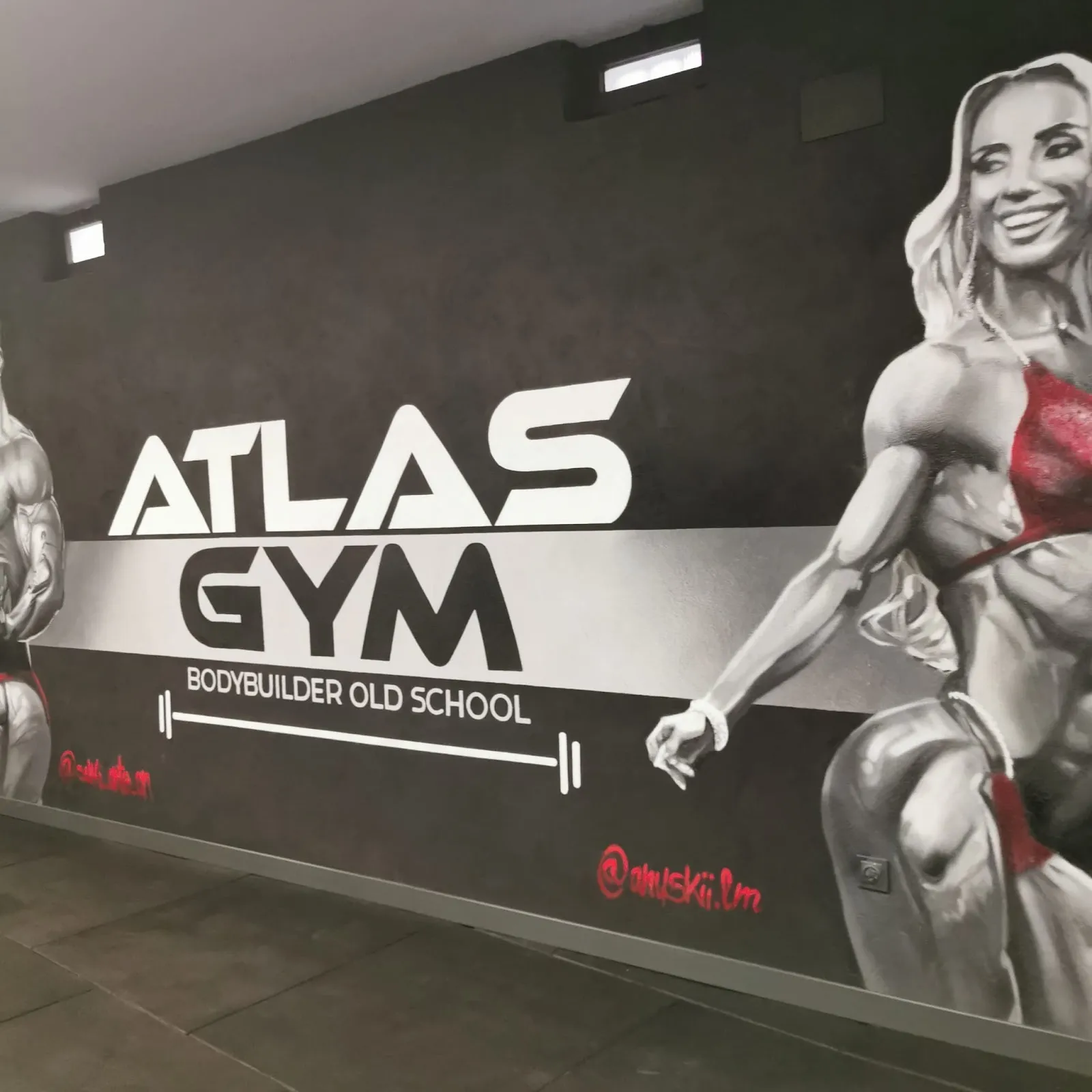 Gimnasio Atlas — fuerza-studio en Valdemorillo — 4