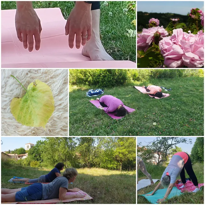 Sadhana Yoga — yoga-studio à Vernaison — 3