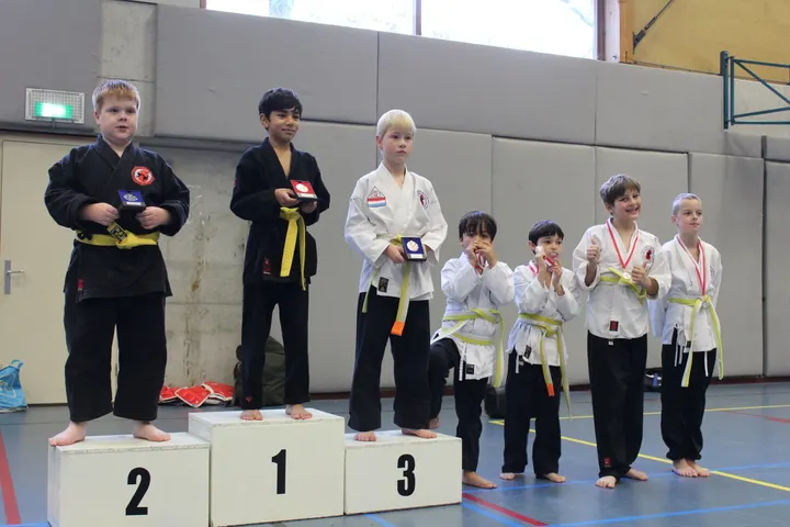 Korean Martialart Academy Twente — vechtsport-studio in Enschede — 3