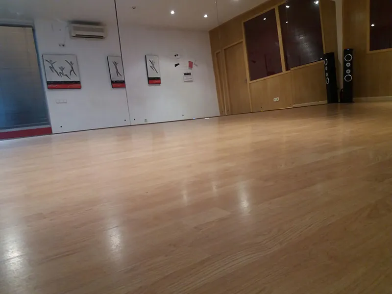 Elena Arroyo Escuela Del Movimiento — baile-studio en Torrelodones — 5