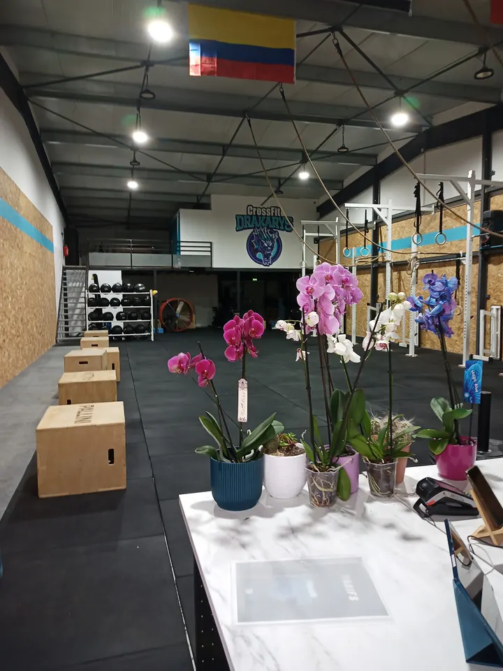 Crossfit Drakarys ZONE LOUBET 9 AVENUE DE TOULOUSE 31240 L'UNION — CrossFit à L'Union