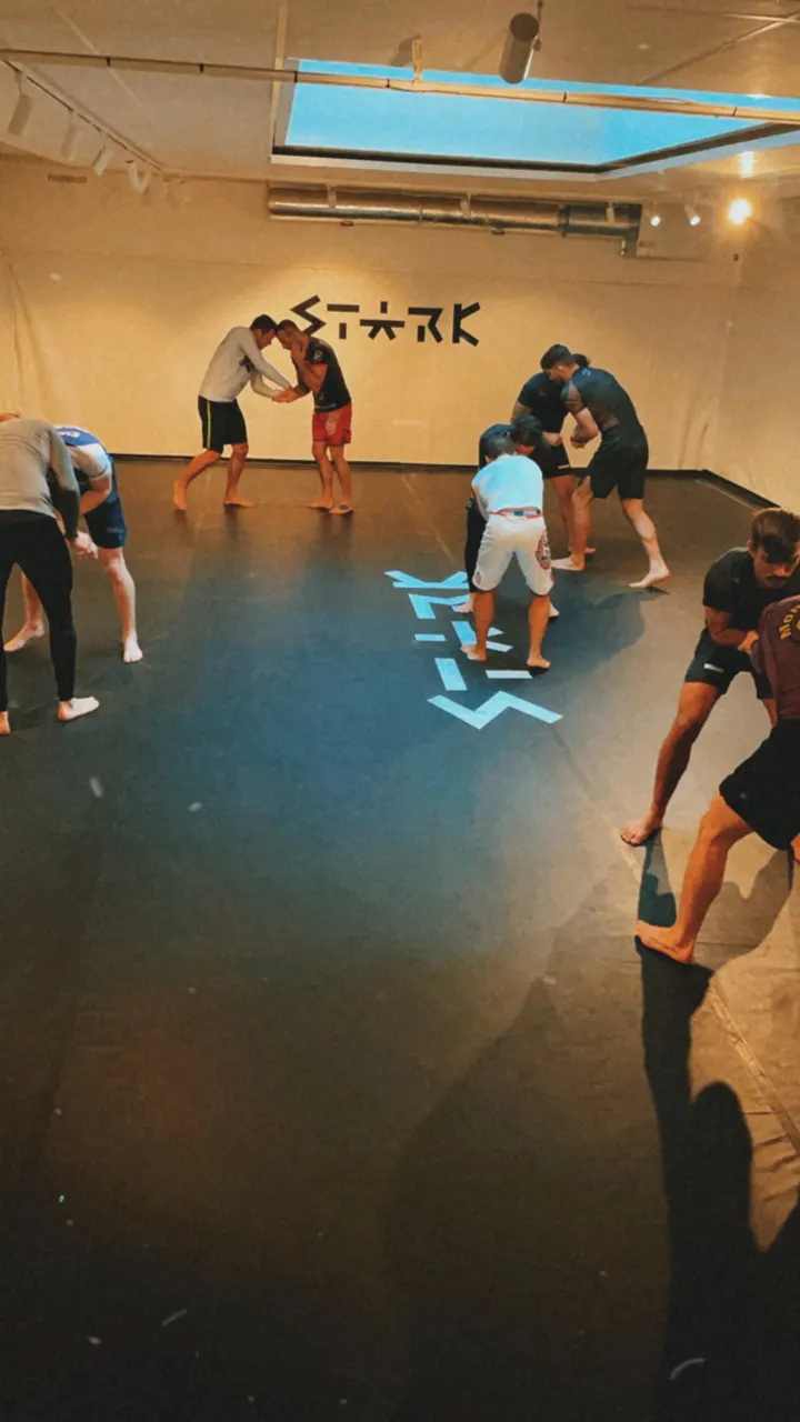 The Jiu Jitsu Performance AB — bjj-studio i Stockholm — 5