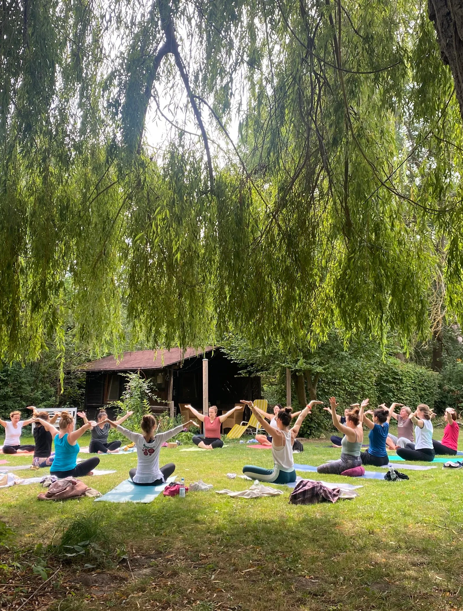 Yogalance — yoga-studio in Giebichenstein, Halle (Saale) — 3