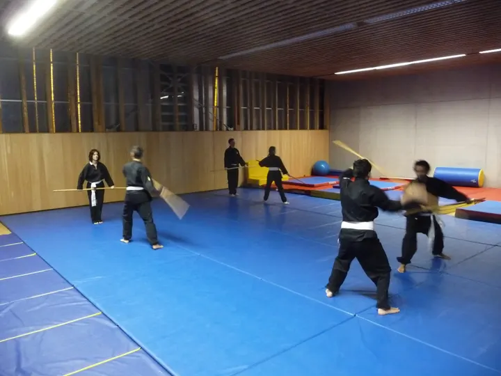 Sheng Zhi Qi Dao La Voie du Loup — arts martiaux-studio à Cuques, Aix-en-Provence — 3
