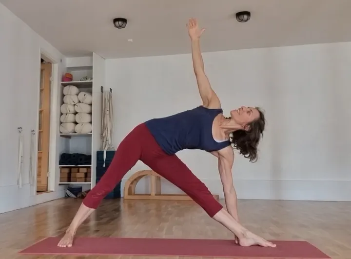 Iyengar Yoga Telemark — yoga-studio i Mæla, Skien