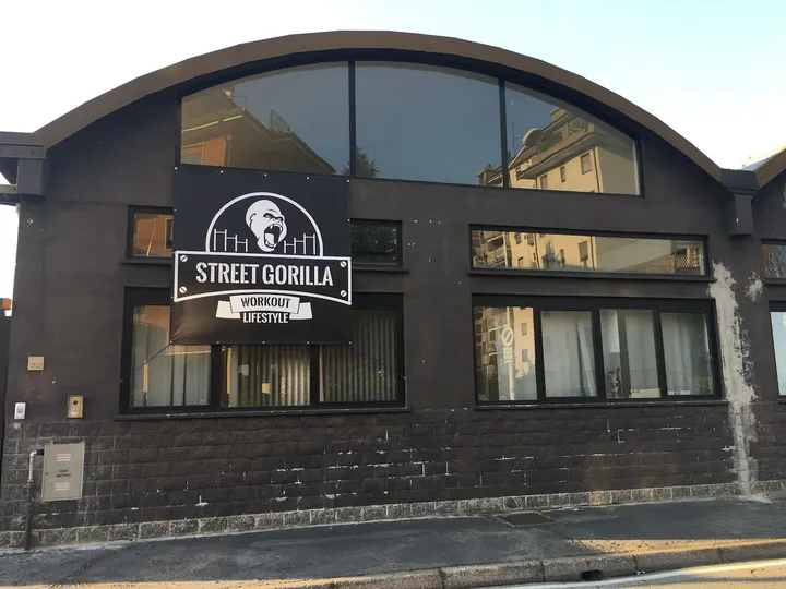 Street Gorilla — palestre-studio a Pontesesto, Rozzano — 3