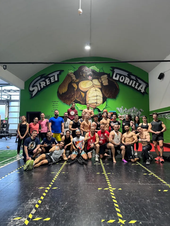 Street Gorilla — Palestre a Pontesesto, Rozzano