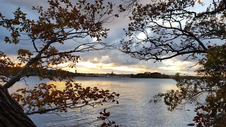 Korpen Västervik — träningsstudio i Ludvigsborg, Västervik — 3