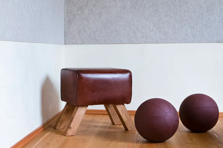 Haifischclub Berlin Trainingstherapie — pt-studio in Berlin — 4