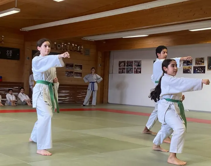 Chuyokan Dojo — arts martiaux-studio à Joué-lès-Tours — 4