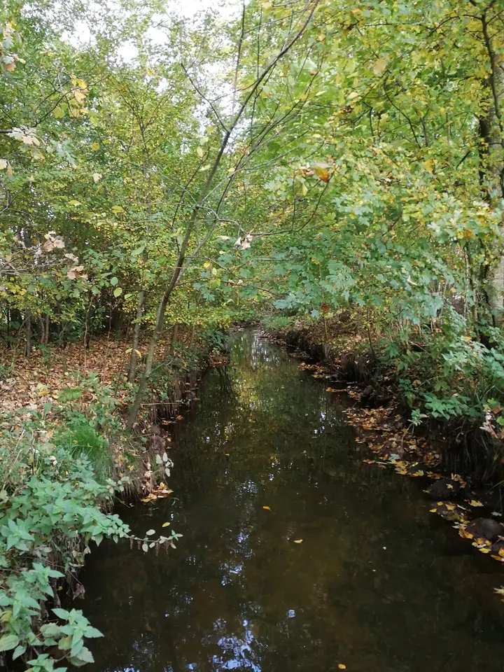 Trehøje Velværecenter — træningsstudio i Vildbjerg — 3
