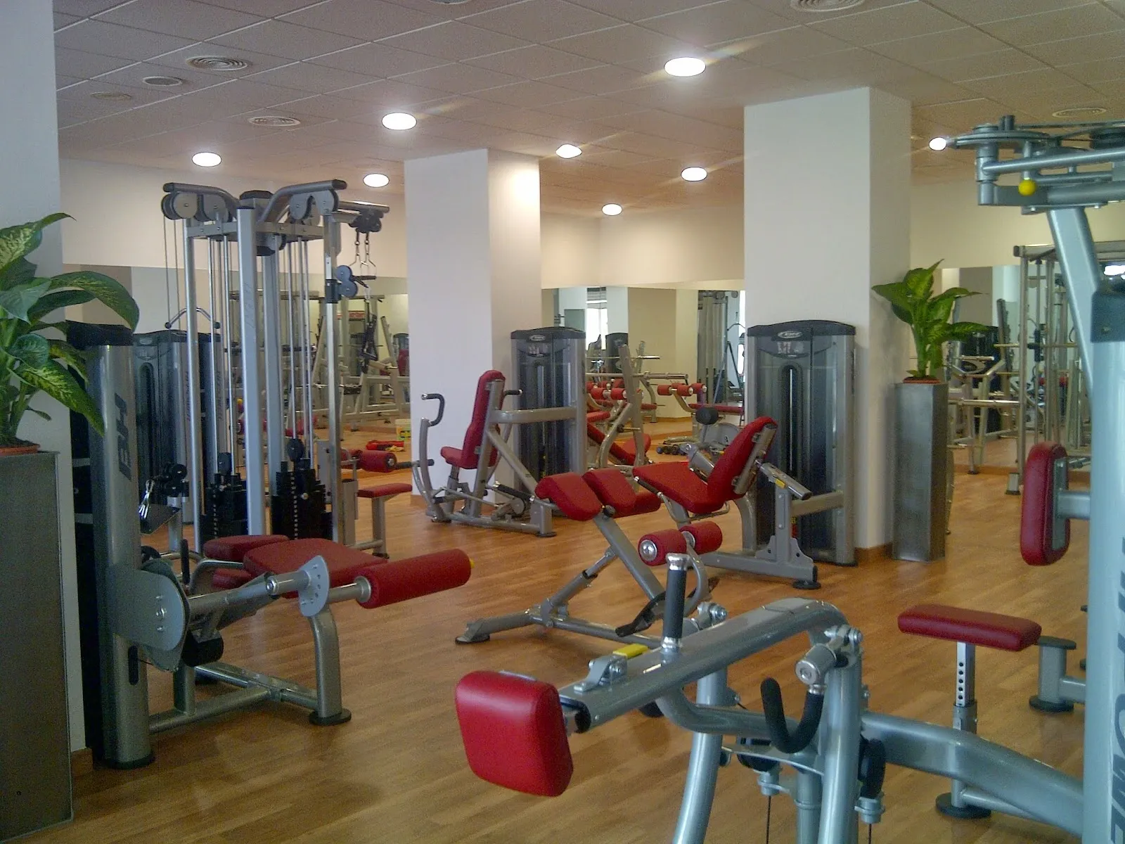 Olympic Karate Marbella — artes marciales-studio en Las Albarizas, Marbella — 3