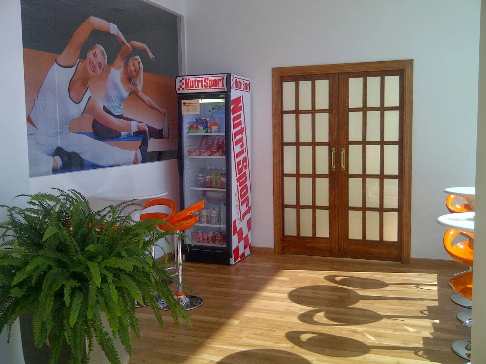 Olympic Karate Marbella — artes marciales-studio en Marbella — 3