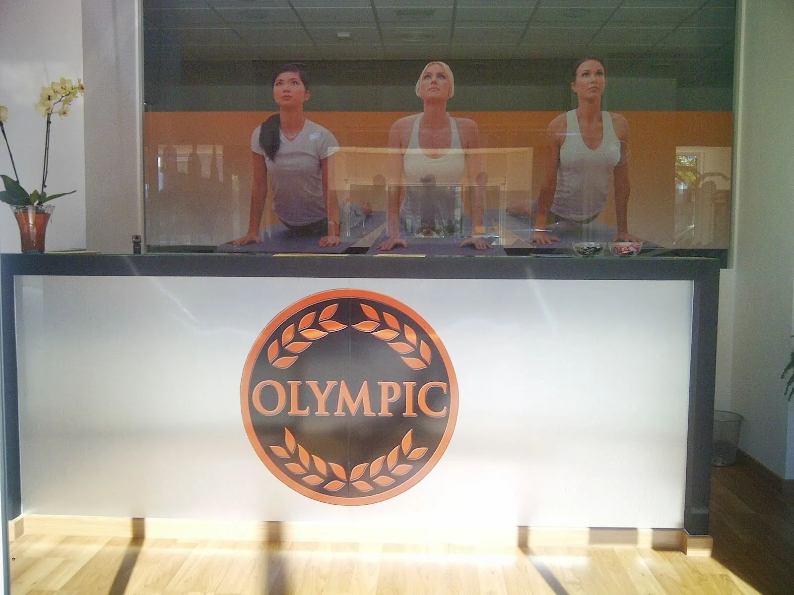 Olympic Karate Marbella — artes marciales-studio en Marbella — 4