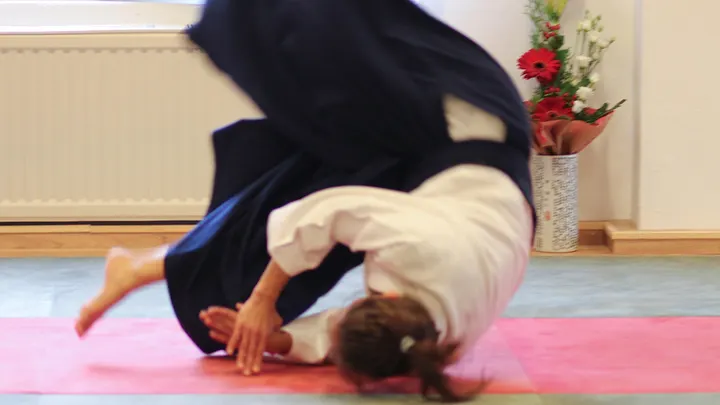 Aikido-Schule Trier e.V. — Martial Arts in Maximin, Trier