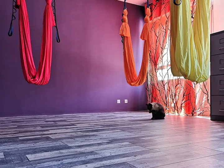 BertaKo Yoga — yoga-studio en San Martín, Vitoria-Gasteiz — 2