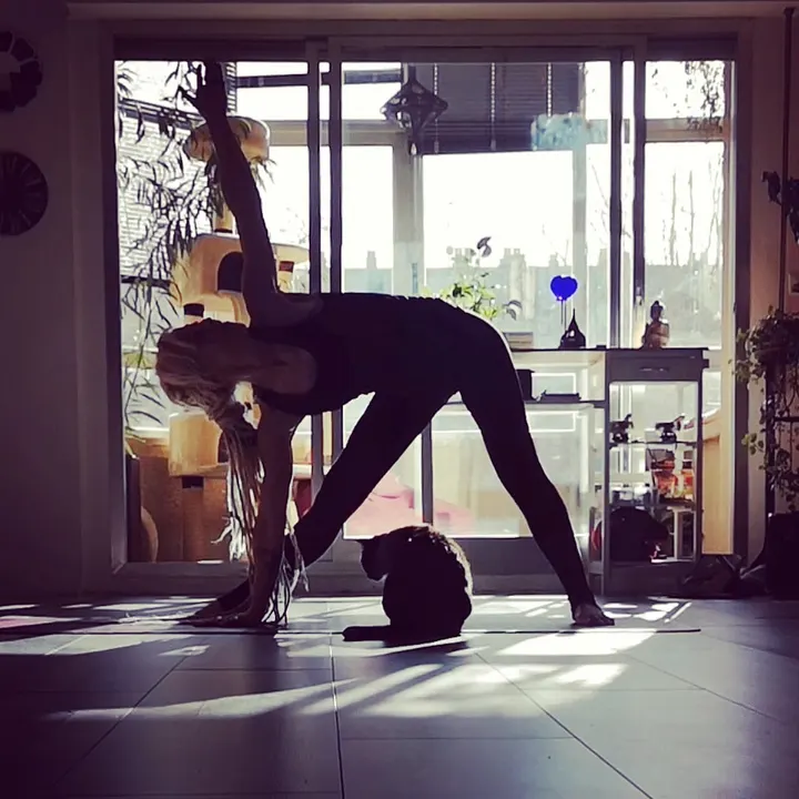 BertaKo Yoga — yoga-studio en Vitoria-Gasteiz — 4