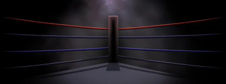 TIME TO FIGHT a.s.d. — Boxe a Biassono