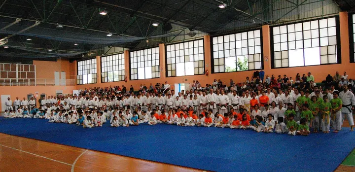Hon Ken Artes Marciales — artes marciales-studio en Sevilla — 4