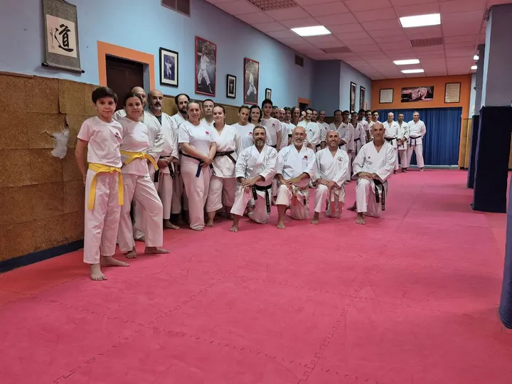 Hon Ken Artes Marciales — artes marciales-studio en Sevilla — 5