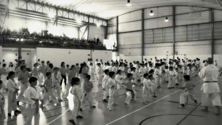 Hon Ken Artes Marciales — Artes marciales en Barriada El Carmen, Sevilla