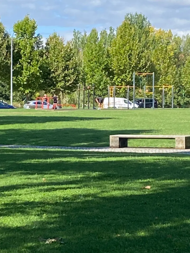 Parque Calistenia Y Streetworkout — calisthenics-studio en León — 4