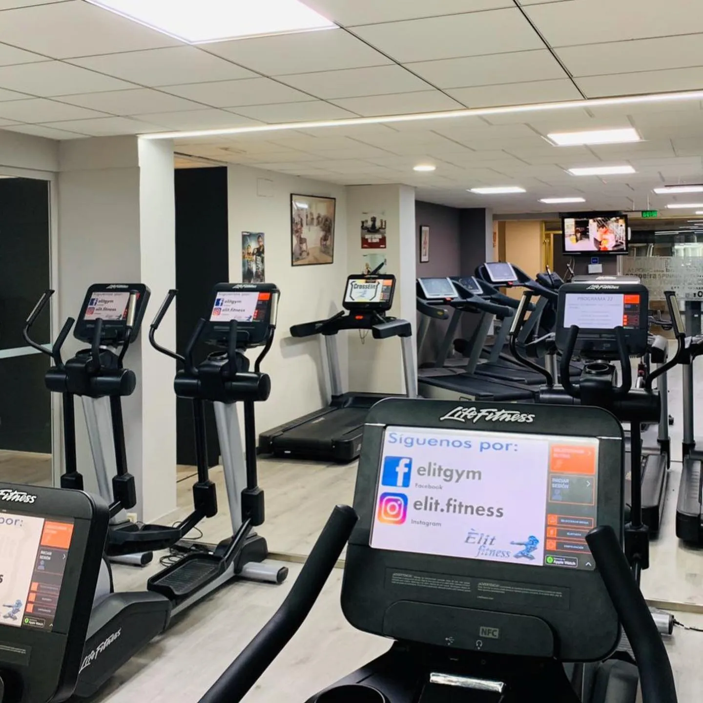 Gimnàs Èlit — gimnasia-studio en Reus — 3