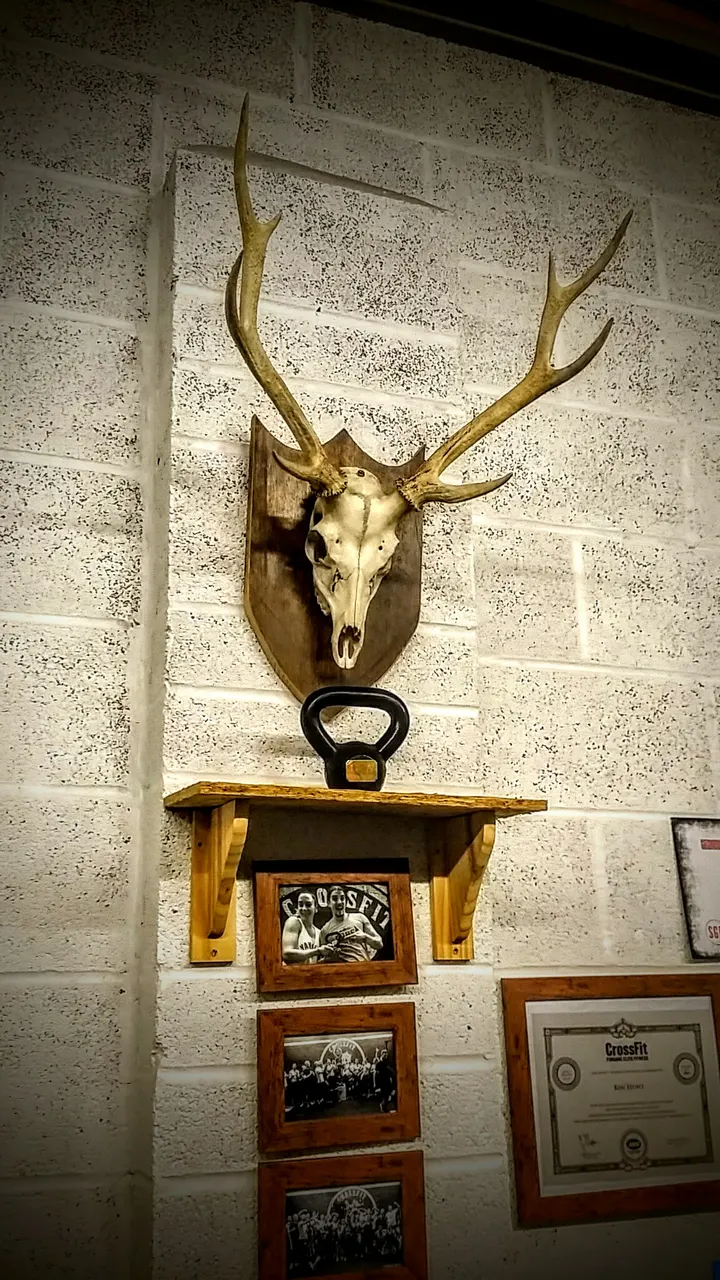 CrossFit® Weymouth — crossfit-studio in Charlestown, Weymouth — 3