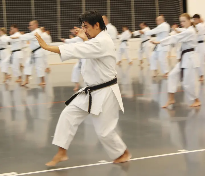 DJKD Shoshin-Würzburg — kampfsport-studio in Würzburg Altstadt, Würzburg — 3