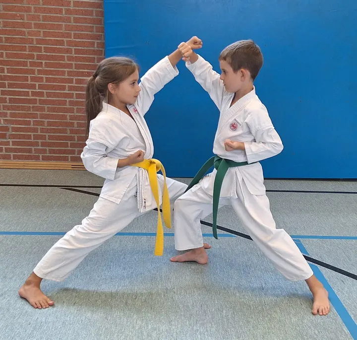 DJKD Shoshin-Würzburg — kampfsport-studio in Würzburg — 4