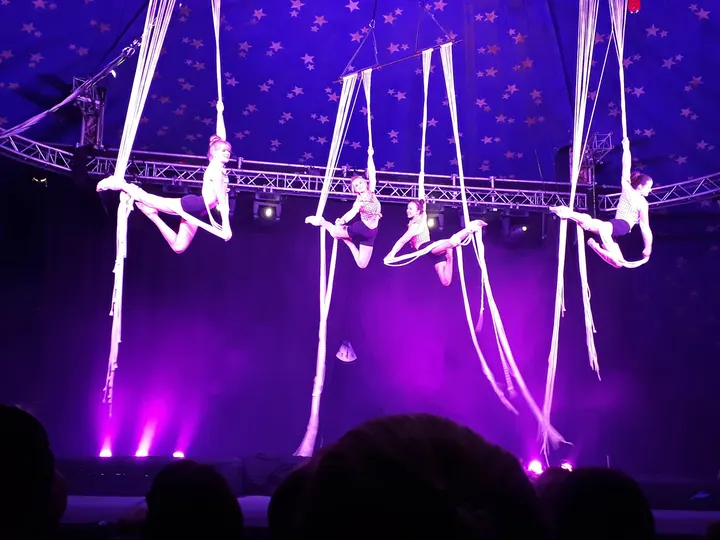Zirkus Chicana — aerial-studio in Dietzenbach, Frankfurt am Main — 3