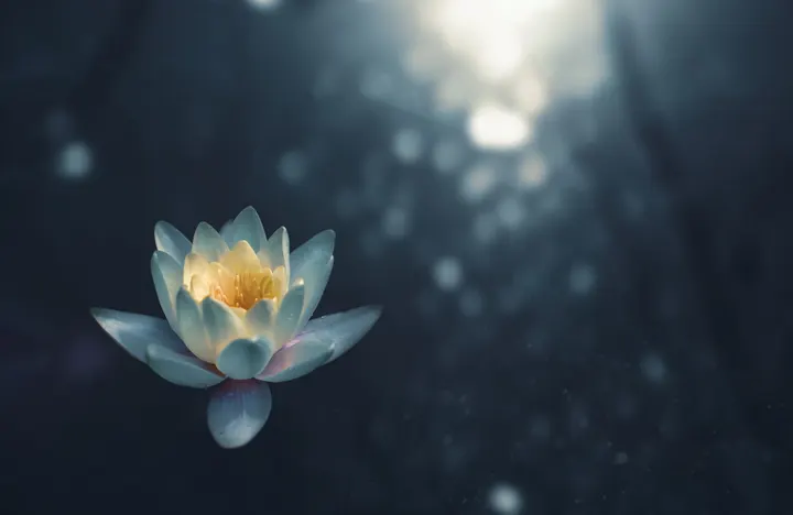 Arte Yoga — yoga-studio au Brandais, Saint-Mars-de-Coutais — 3