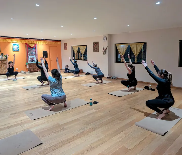 NYASA YOGA ET PILATES — yoga-studio à Mas Baillarou, Toulouges — 3
