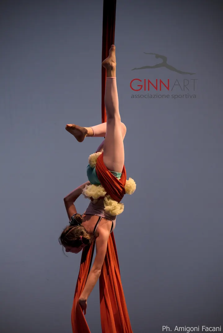 Ginnart Scuola di Ginnastica Artistica — ginnastica-studio a Galvani, Bologna — 2