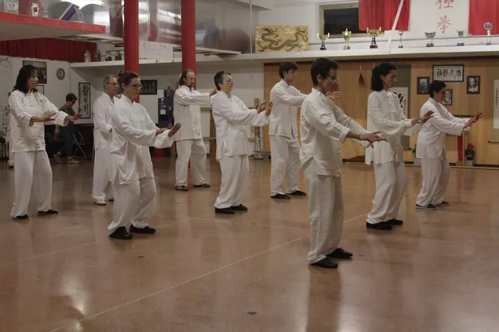 Tecniche Arti Orientali — arti marziali-studio a San Domenico, Udine — 3