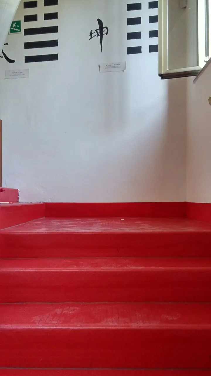 Tecniche Arti Orientali — arti marziali-studio a Udine — 5