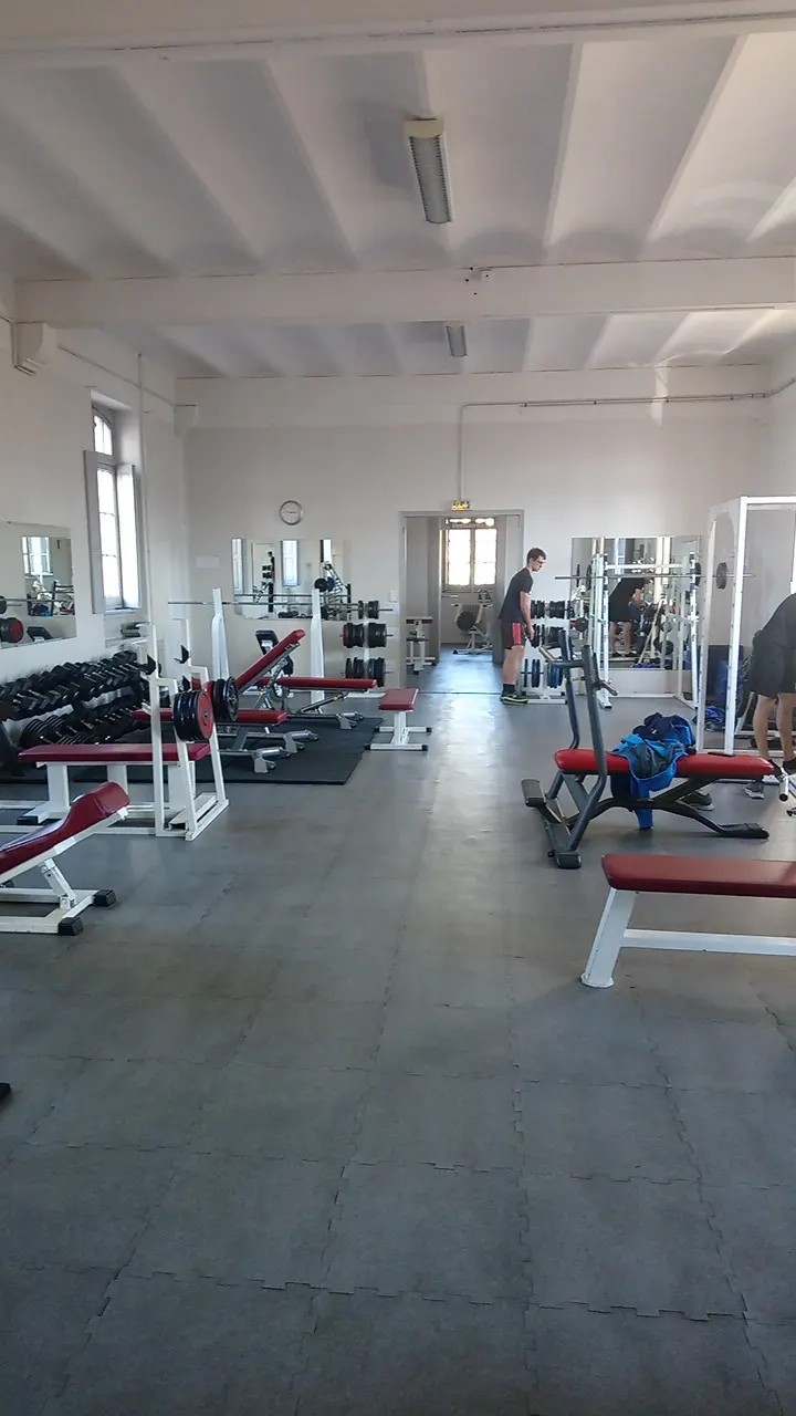 Asch Muscu Fitness — salle de fitness-studio à Hôpitaux-Facultés, Montpellier — 3