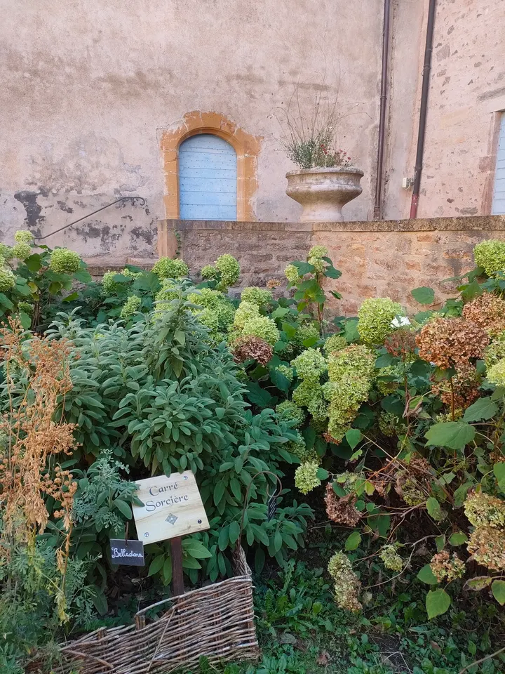 Namalya Yoga & Sens — yoga-studio à Villefranche-sur-Saône — 2