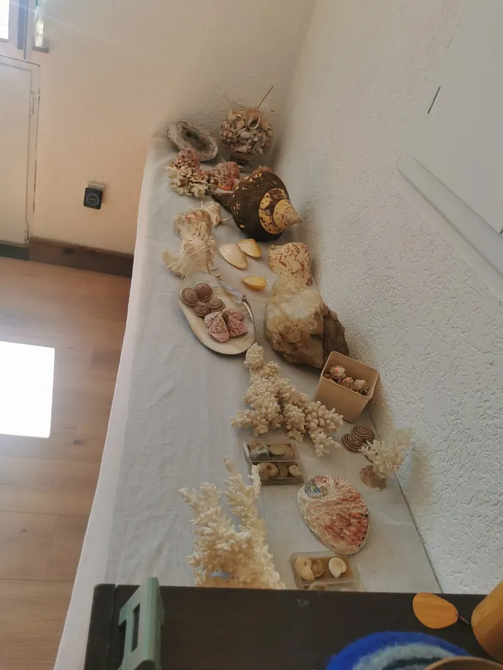 Freequenz — yoga-studio in Iserlohn — 3