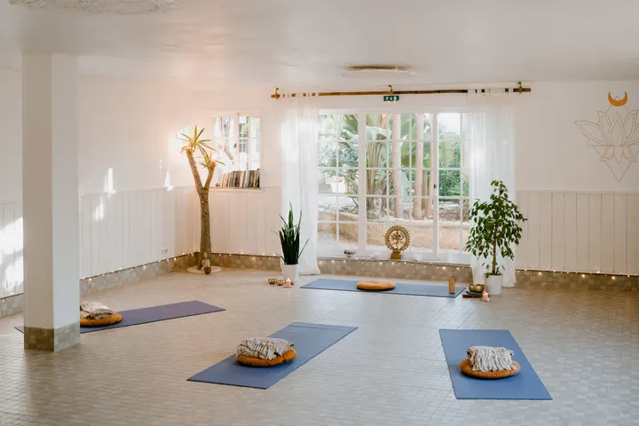 Transform to Bliss — Yoga em Luz, Lagos