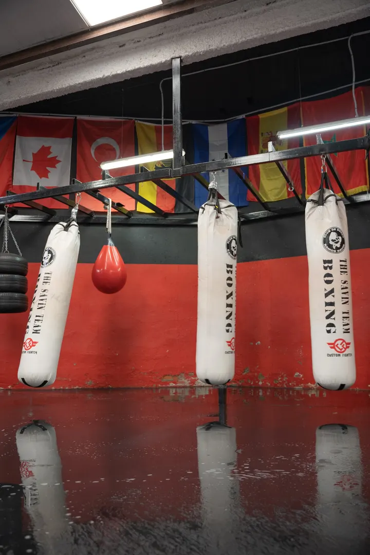 Club De Boxeo Ramos Savin — artes marciales-studio en Colmenar Viejo — 3