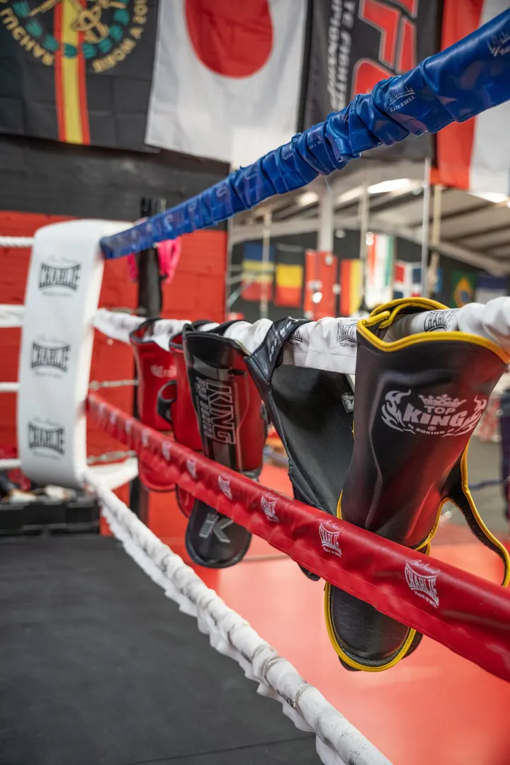 Club De Boxeo Ramos Savin — artes marciales-studio en Colmenar Viejo — 3