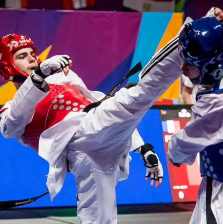 Lyon Métropole Taekwondo - Halle aux Fleurs — arts martiaux-studio à Lyon — 3