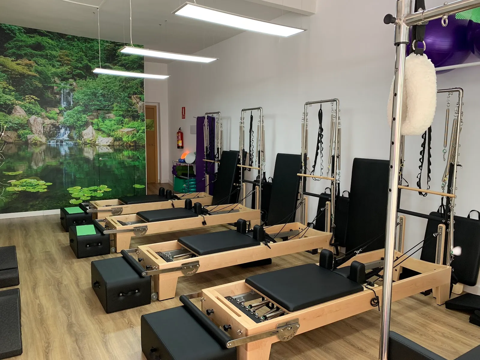Corpore Sano Estudio Pilates — pilates-studio en Parla — 3
