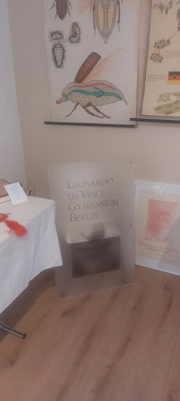 Slowmotion Yoga — yoga-studio in Dahlwitz, Hoppegarten — 3