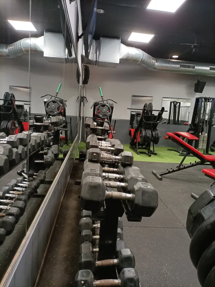Body Power — estudio de fitness-studio en Palma — 3