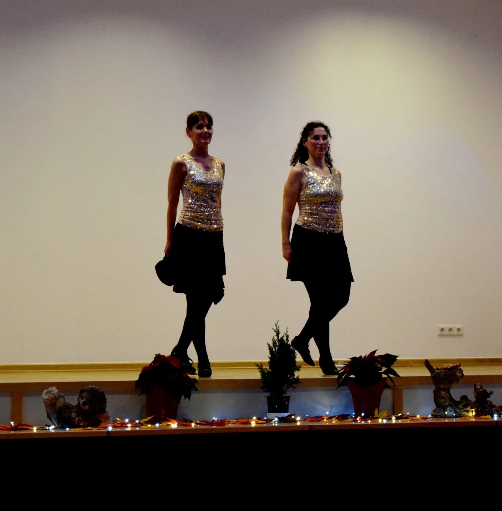 Irish Dance School Bremen / Oldenburg — tanz-studio in Edewecht-Friedrichsfehn — 3